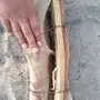 حزم سمر ناشف