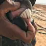 عنز وش سنها يالربع ذي 