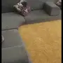جلسه أرضيه (جديده) مع استاره استعمال 5شهور