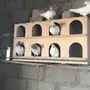 حمام باكستاني نقشة حمراء