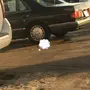مرسيدس 560