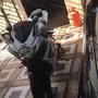 دباب للبيع