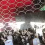 صوص بلدي العمر شهر 