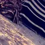 بيت شعر