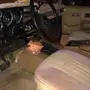بليزر موديل 82 للبيع (جيمي)