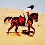 حصان للبيع
