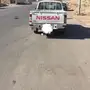 ددسن 16غماره للبيع 
