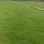 نجيله ( المتر 4 ريال ) فقط 