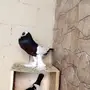 حمام زينه للبيع 