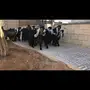 معزا عوارض جفار صنف للبيع