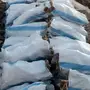 خياش سمر بسعر طيب الخيشه 28 ريال 