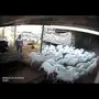 اغنام حريه من اغنام الحويزي ( شهران )