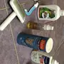 قطط للبيع بأغراضه .