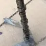 كابرس و لومينا 