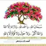 حايل - السلام عليكم   مساء