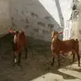 تيسين حص دهم جم سمان ماشاء الله تبارك الله