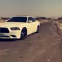 جنوط بوليسي حقت دوج نظيفه 