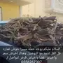 حطب سمر حمله سييرا للتنده