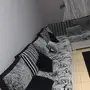 كنب للبيع حد 1500