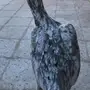 دجاجه باكستانيه مستوى