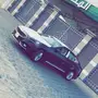 جنوط كادينزا 2017 