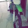 دباب صحراوي كوزاكي للبيع 