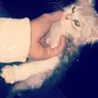 قطوه شيرازي