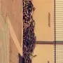للبيع حملتين حطب