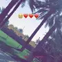 مزرعه للاجار اليومي 