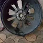 جنوط ازيرا من 2012 -2015