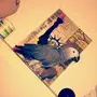 بغبغاء كاسكو 6 شهور