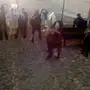 تيوس للبيع العدد 26 