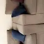 كنب 7 اشخاص