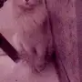 الرس القصيم