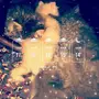 قطط خمسة ام واطفالها 