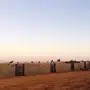 احواش غنم للايجار