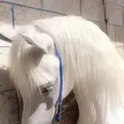 اسطبل إيواء خيل 