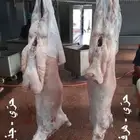ذبايح حري مع الذبح والتوصيل للبيت