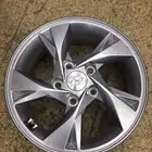 جنوط-النترا-2021