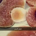 عسل السدره الجبلي وعسل سمر وعسل خاص ملكي مضمو