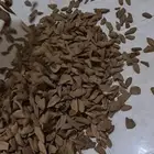 وصول كميات مروكي اصقون غابات طبيعيه