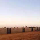 أحواش غنم بلك