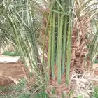 اسعد الله اوقاتكم زباين الكرام