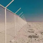 شبك