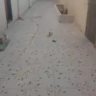 ابو سعيد لجميع انواع البلاط