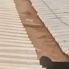 حداد ونوع الحدابد