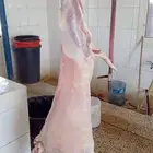 توفير ذبايح مع خدمه الذبح و التوصيل