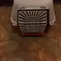 بسة شيرازي 