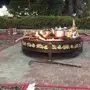 منقد للقهوه والشاي والتدفيئه للمناسبات الخاصه