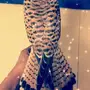 صقر الباشق او شبوط شرياص حميميق الاسماء واجد
